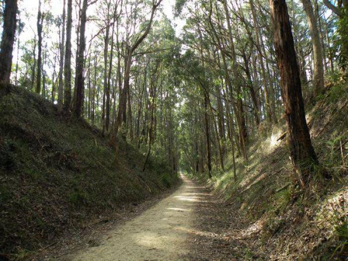 Grand Ridge Rail Trail