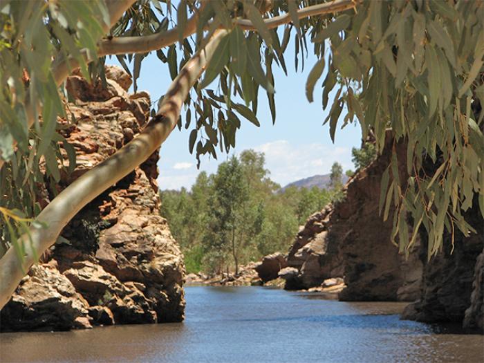 Ellery Creek Big Hole