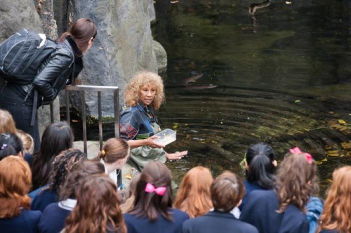 Eel Feeding | Bunjilaka Aboriginal Cultural Centre