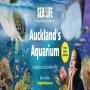 View Event: SEA LIFE Aquarium Auckland | Open Hours & Tickets