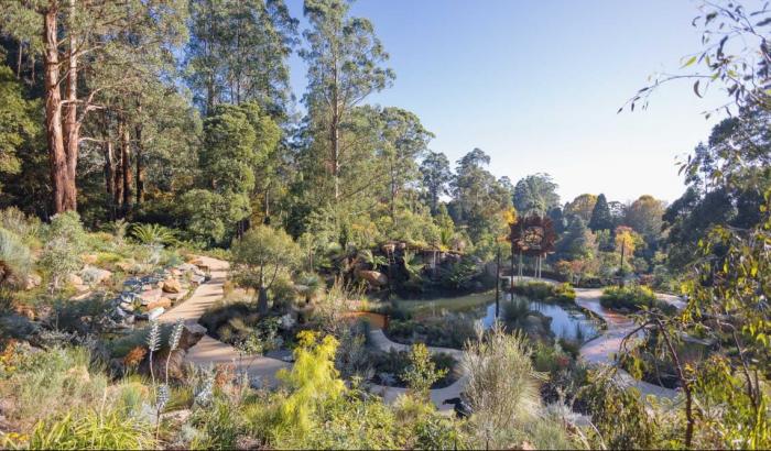 Guided Walks | Geelong Botanic Garden