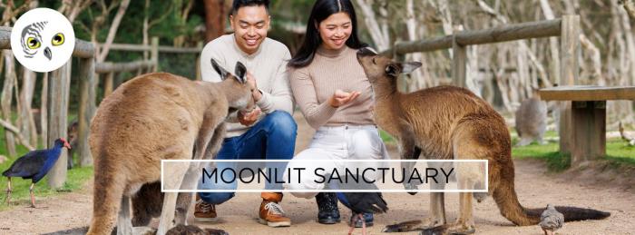 Moonlit Sanctuary | Open Times & Tickets