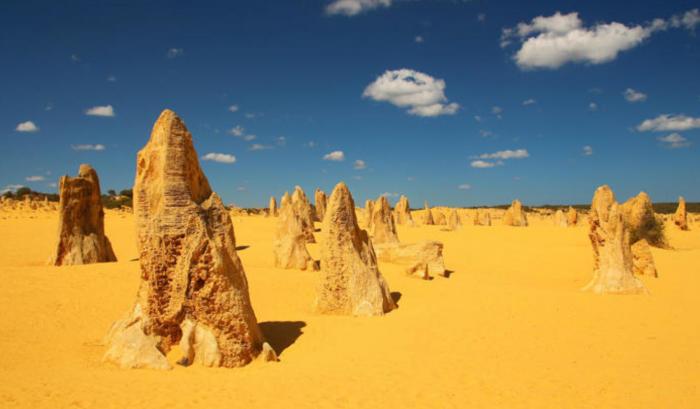 The Pinnacles - OnlyPerth.com.au