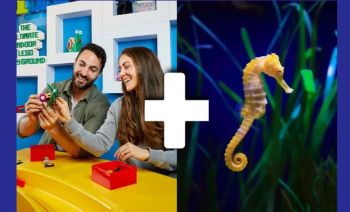 Adult Night Melbourne Big Ticket @ LEGOLAND + SEA LIFE