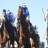 View Event: Caulfield Spring Finale: Zipping Classic