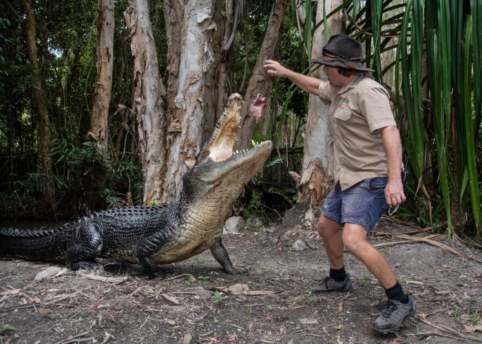 Hartley's Crocodile Adventures