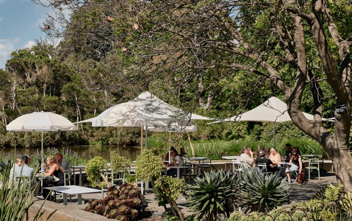 The Terrace Caf© | Royal Botanic Gardens