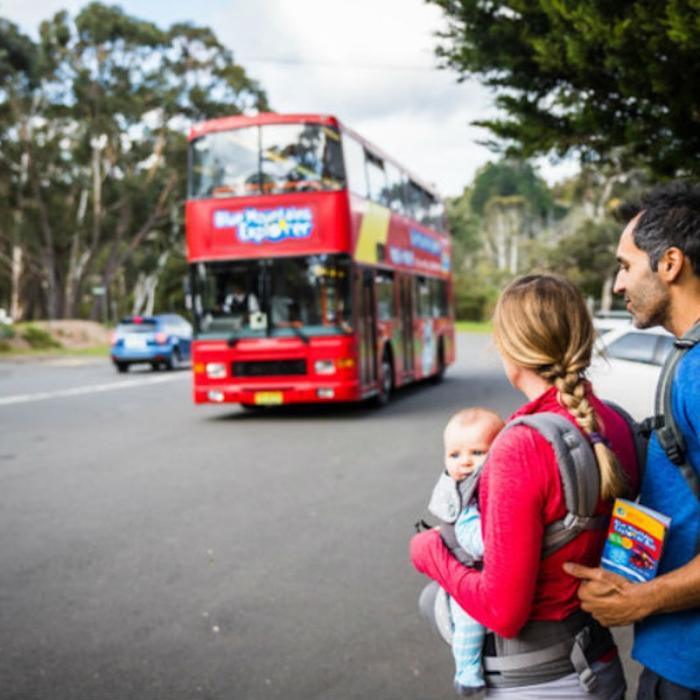 Blue Mountains Hop-on Hop-off Explorer Bus