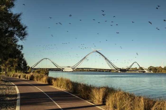 Matagarup Bridge