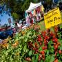 Altona Beach Market