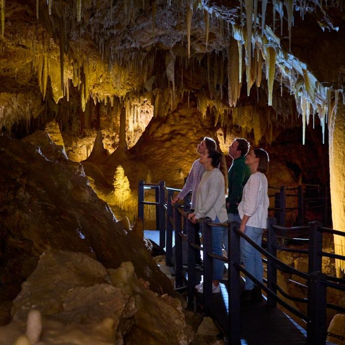 Ngilgi Cave Tour | Hours & Tickets