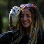 View Event: Eagles Heritage Wildlife Centre: Birds Of Prey Encounter & Forest Walk