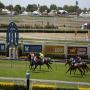 View Doomben Racecourse