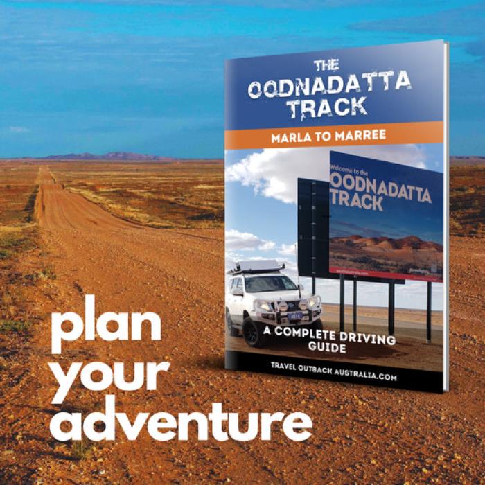 The Oodnadatta Track: A Complete Driving Guide