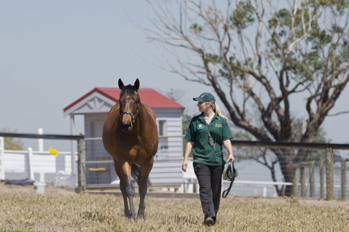 Horses Wine And Beer: Best of Melbourne Tour