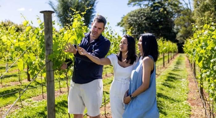 Mt Tamborine Winery And Lunch Tour