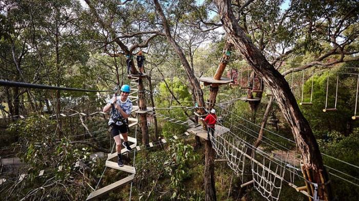 Tree Surfing And Beer Tasting Adventure @ Mornington Peninsula