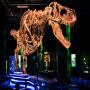 View Event: Victoria The T. Rex