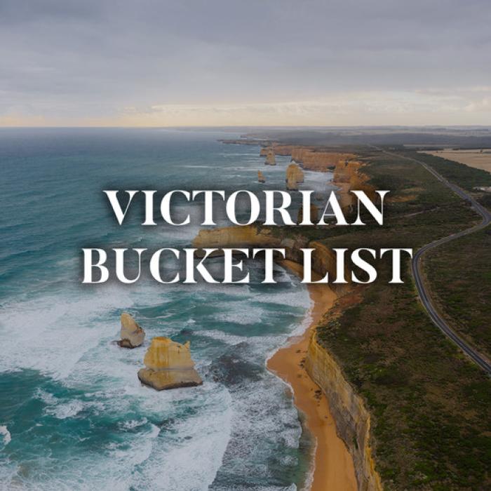 Bucket List: Top Victorian Nature & Wildlife Experiences