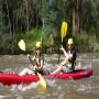 Whitewater Kayaking Experience @ Yarra River