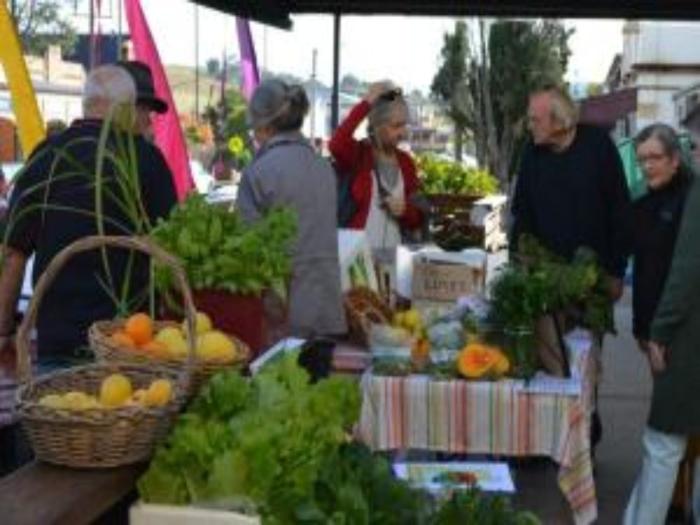 Dungog Local Growers Stall Market