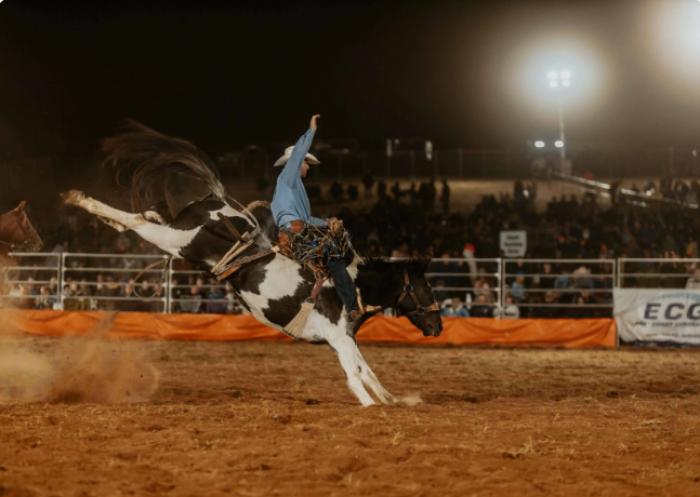 Farm World Rodeo