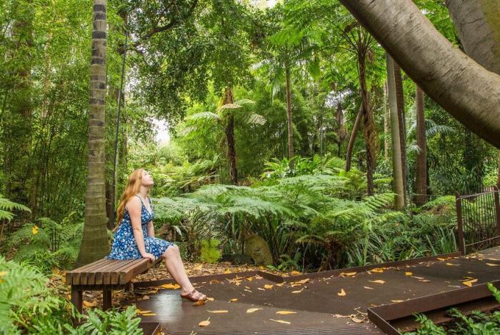 Forest Therapy @ Royal Botanic Gardens