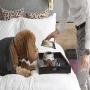 Dog Friendly Hotels, B&Bs and Getaways in Victoria