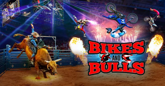 Bikes & Bulls