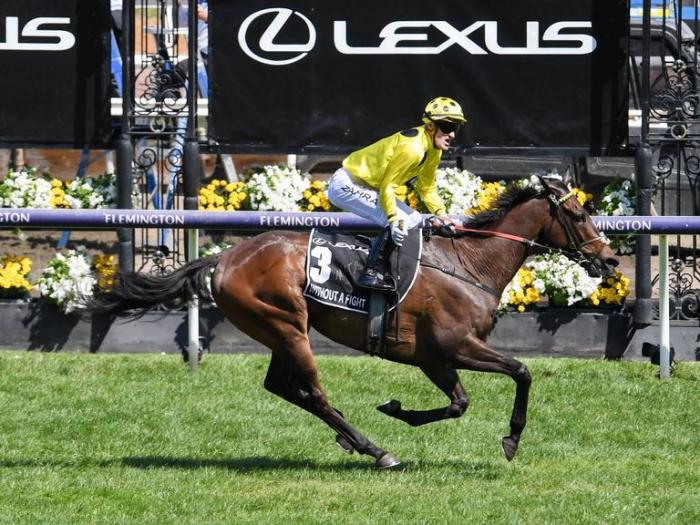 WINNER 2023 Melbourne Cup - WITHOUT A FIGHT (3)