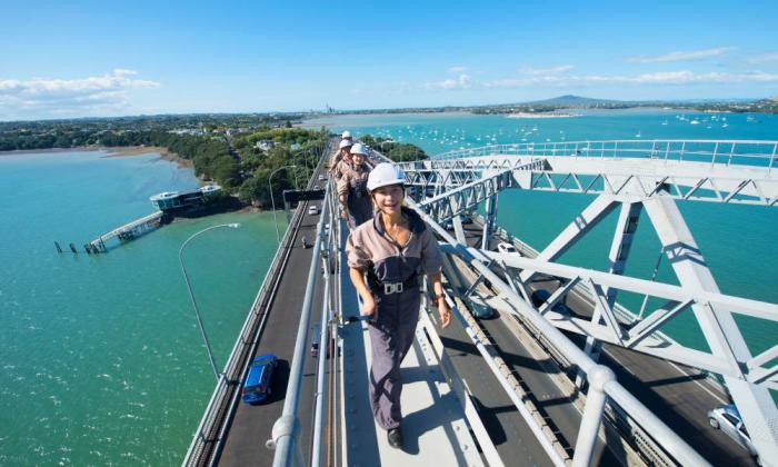 Climbing Bridges in New Zealand