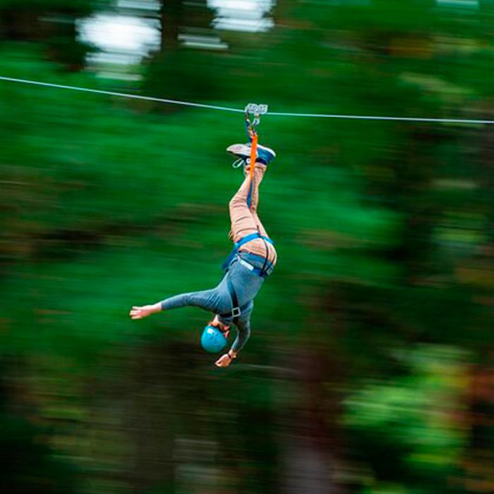 Rock Climb + Zipline + Mega Swing Experience