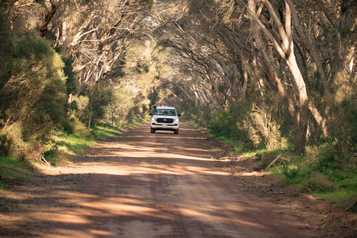 Kangaroo Island Landscape and Wildlife Tour