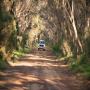 View Event: Kangaroo Island Landscape and Wildlife Tour