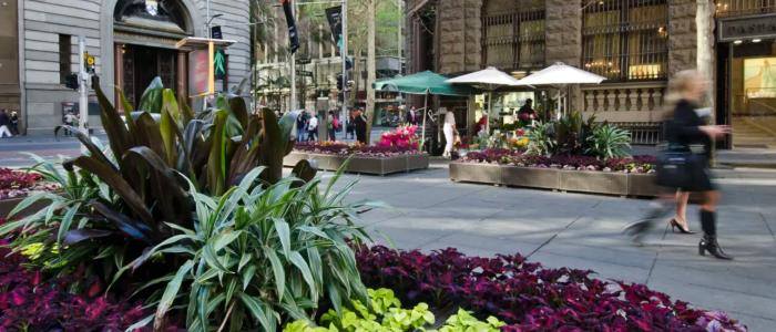 Martin Place