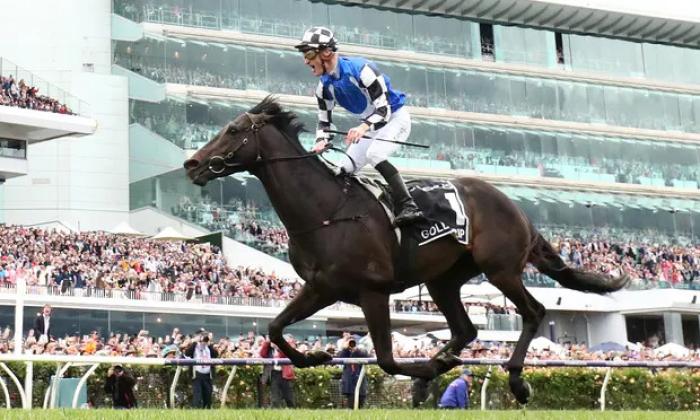 WINNER 2022 Melbourne Cup - GOLD TRIP (1)