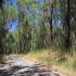 Baldry Crossing Circuit Walk - Mornington Peninsula